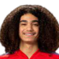 https://img.sutaobiao.com/img/football/player/87359ed9061cfd73513d827263deebcd.png