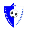 https://img.sutaobiao.com/img/football/team/1cde488d47b598d2eed91775e6786258.png