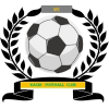 https://img.sutaobiao.com/img/football/team/6dc6d59af2f0962597b412473a6708ee.png