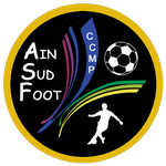 https://img.sutaobiao.com/img/football/team/a536ffbc623217e1ee3589718bb71517.png