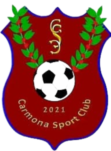 https://img.sutaobiao.com/img/football/team/d80b656d03f11e4fa48c5de7e6e98390.png